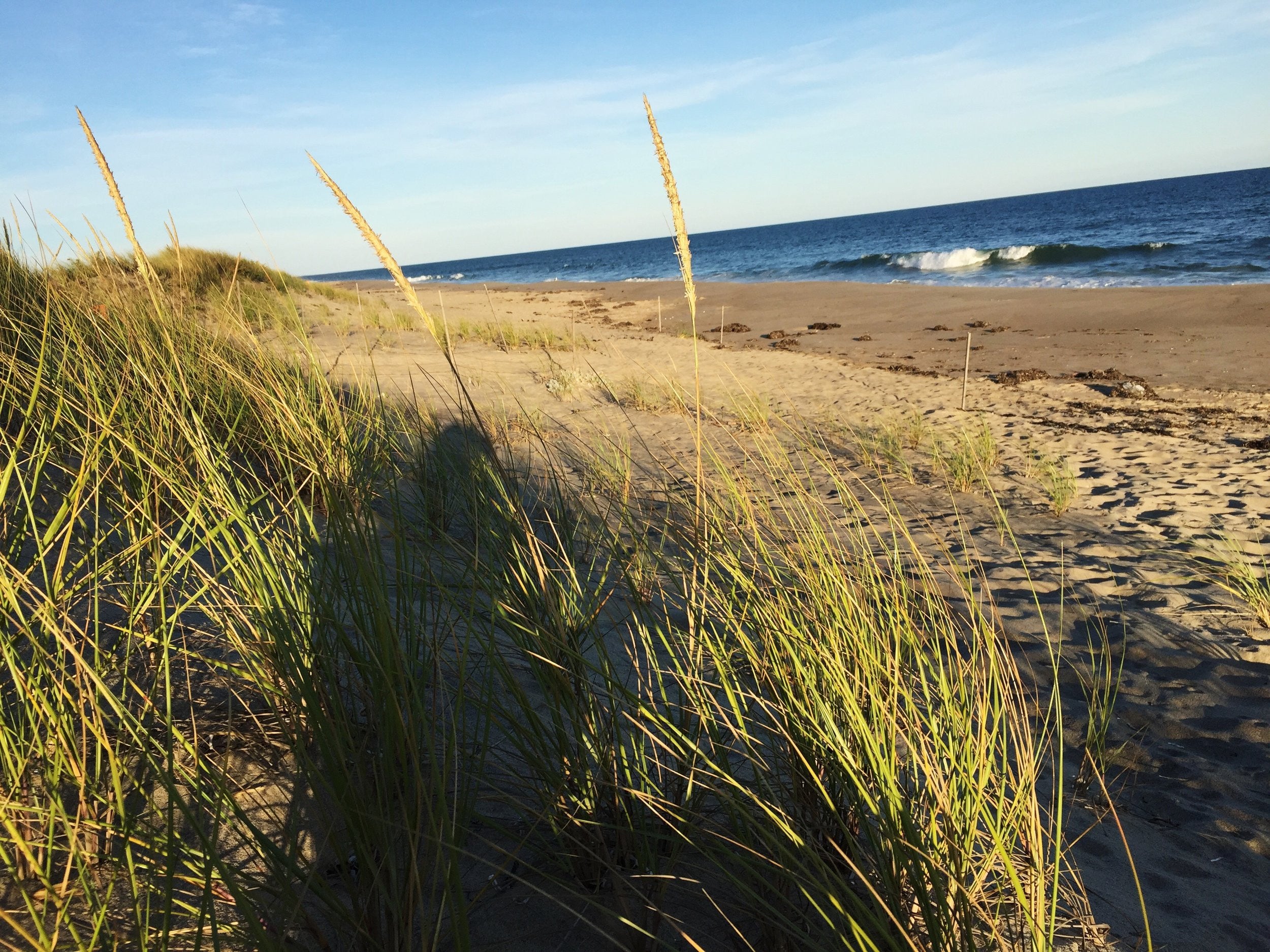 Martha's Vineyard/magic town
