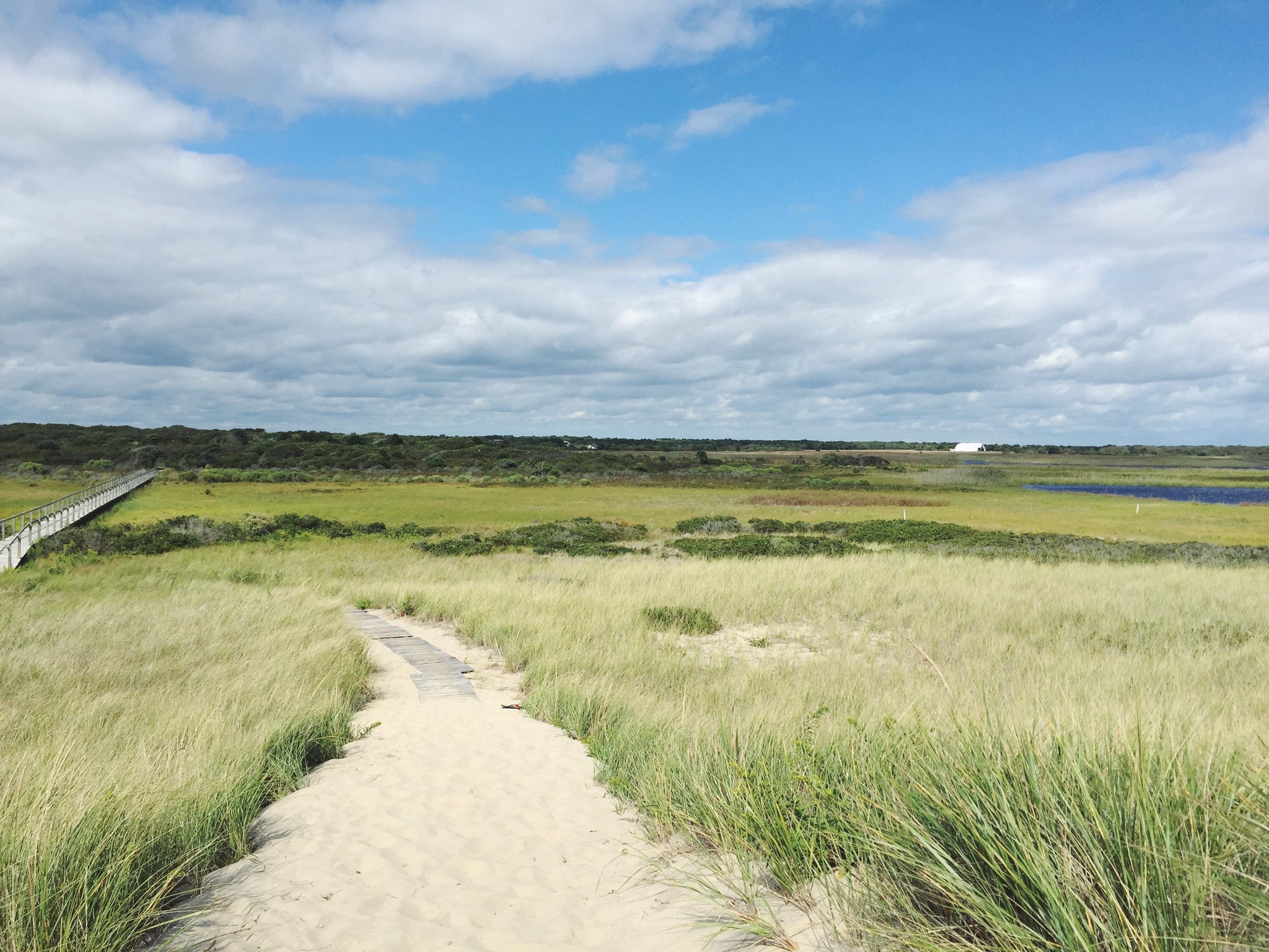 Martha'a Vineyard is magic