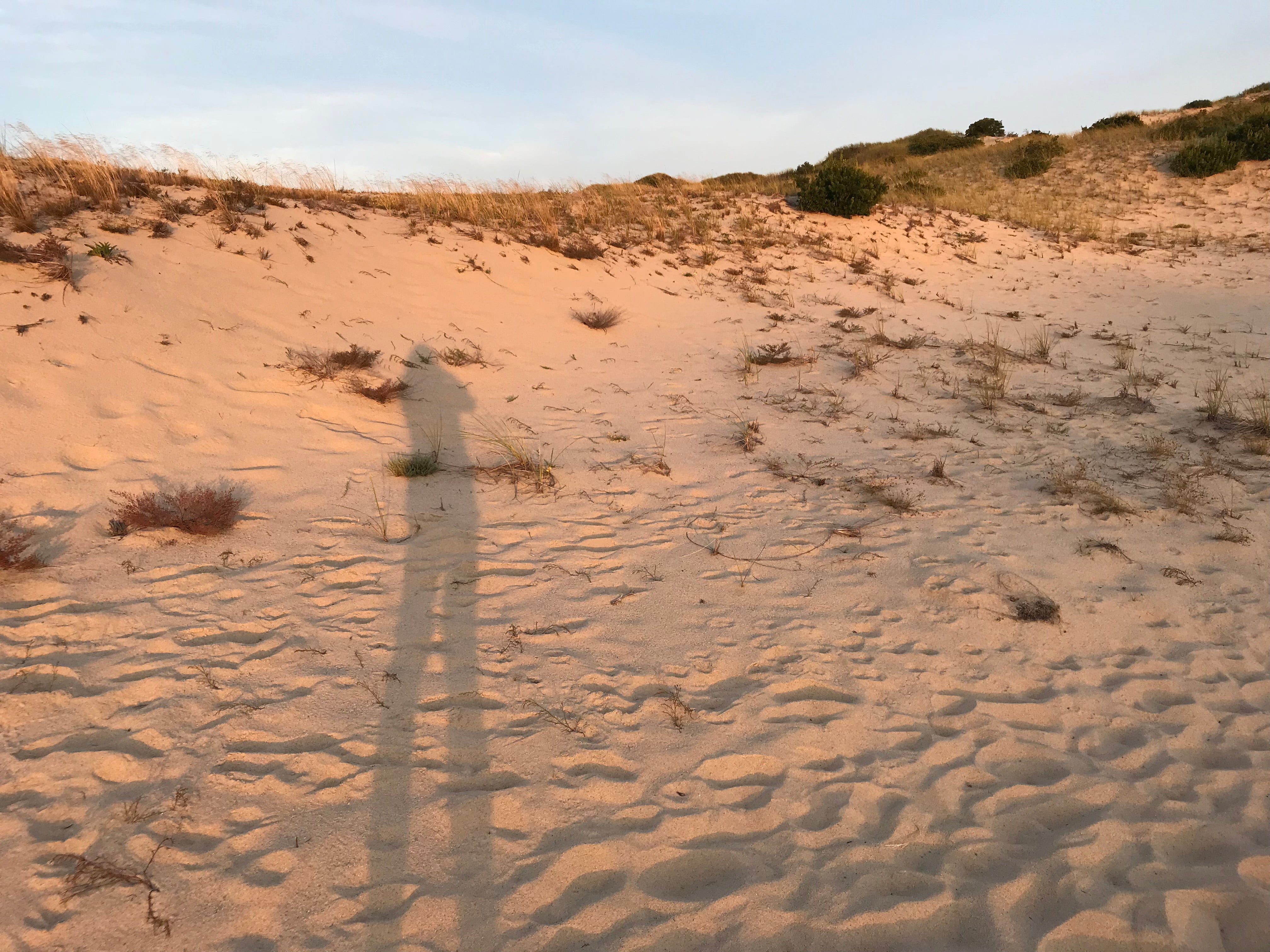 The Cape