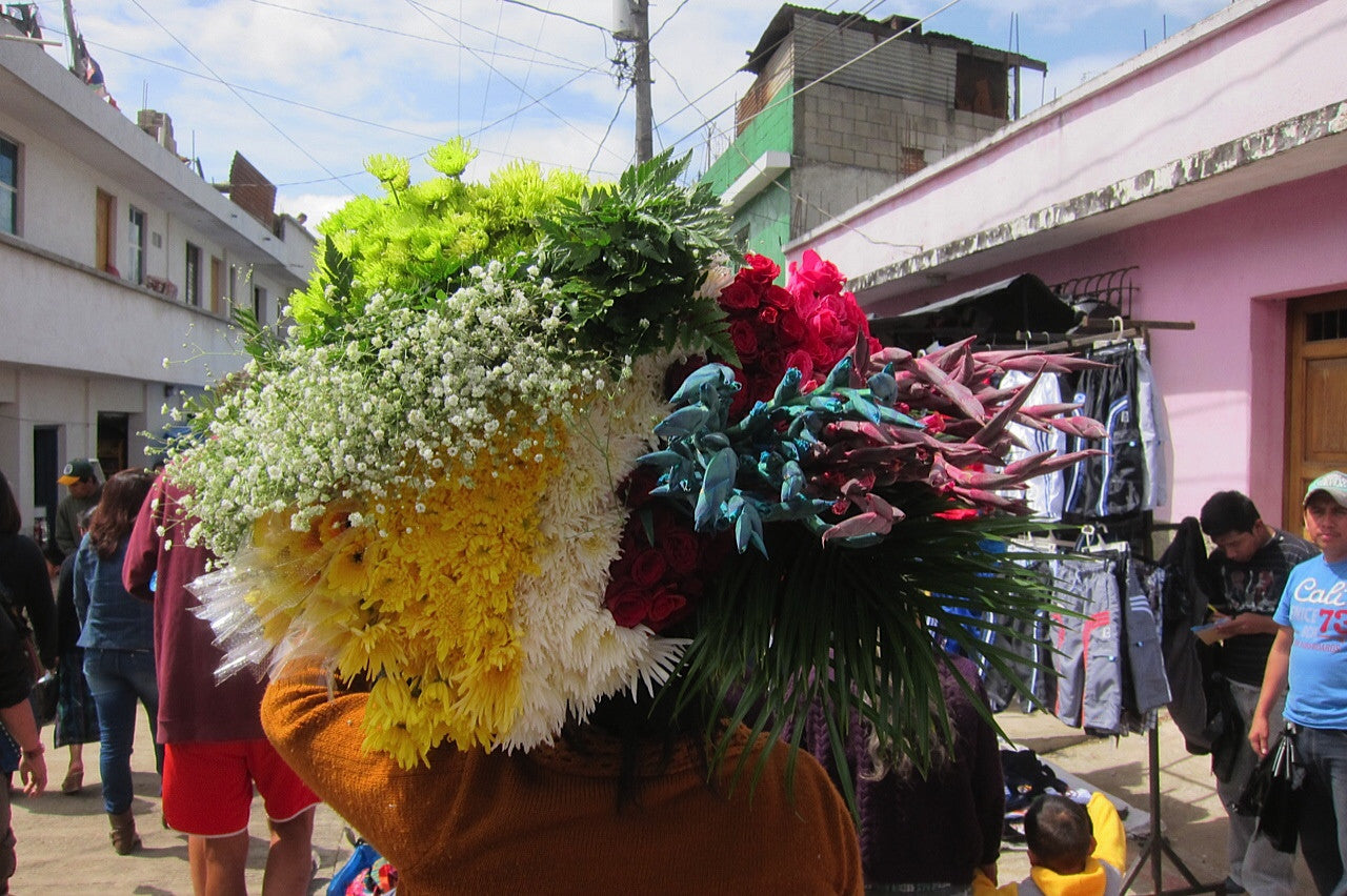 Oaxaca: Fall Winter 2015
