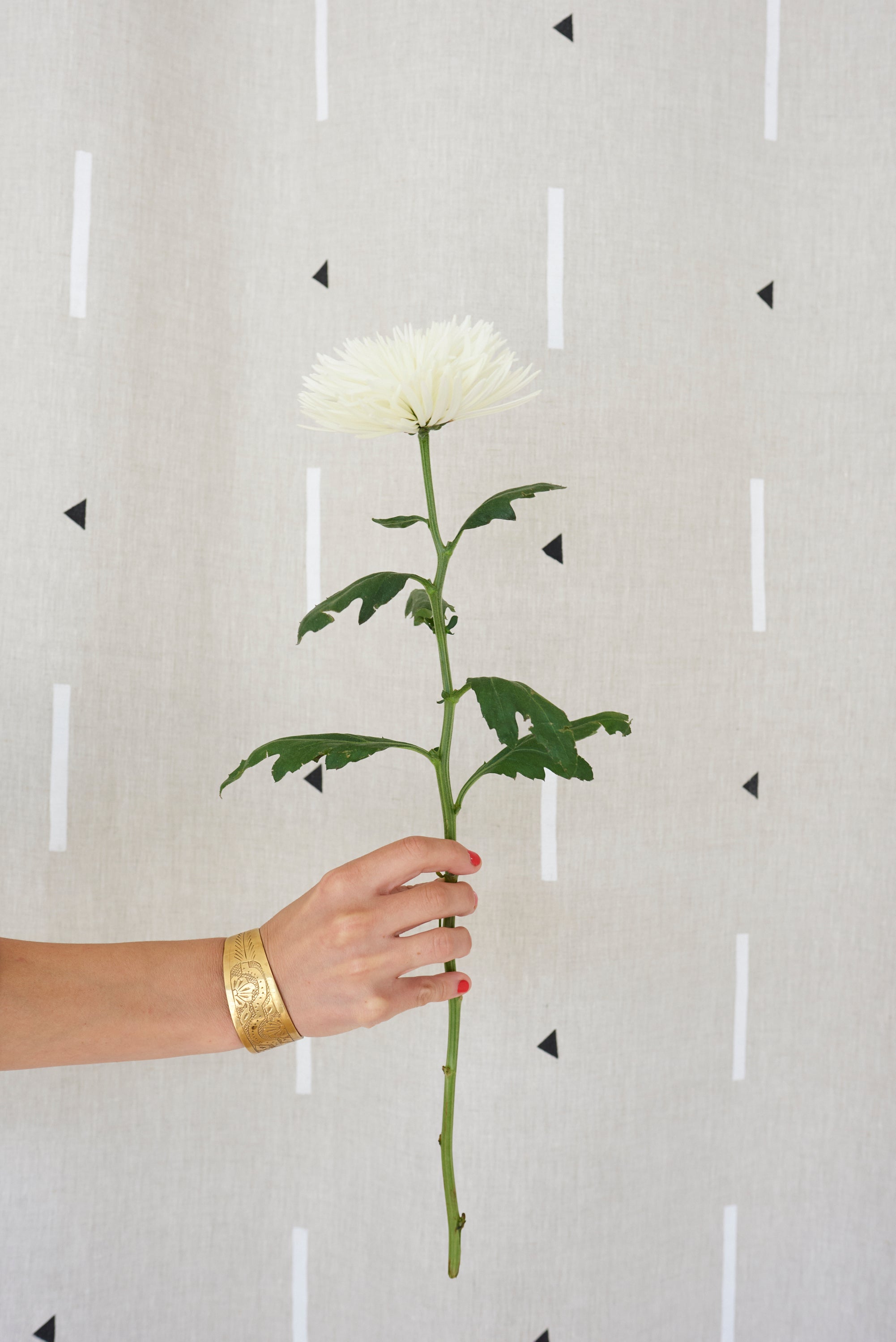 Tashmoo White & Black - Fabric By The Yard