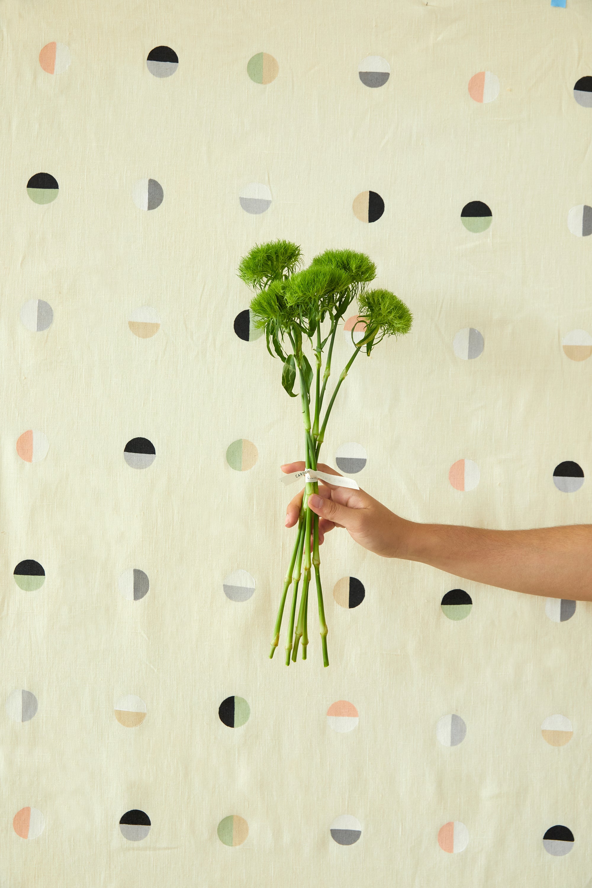 Multi Moons on Sun - Fabric By The Yard