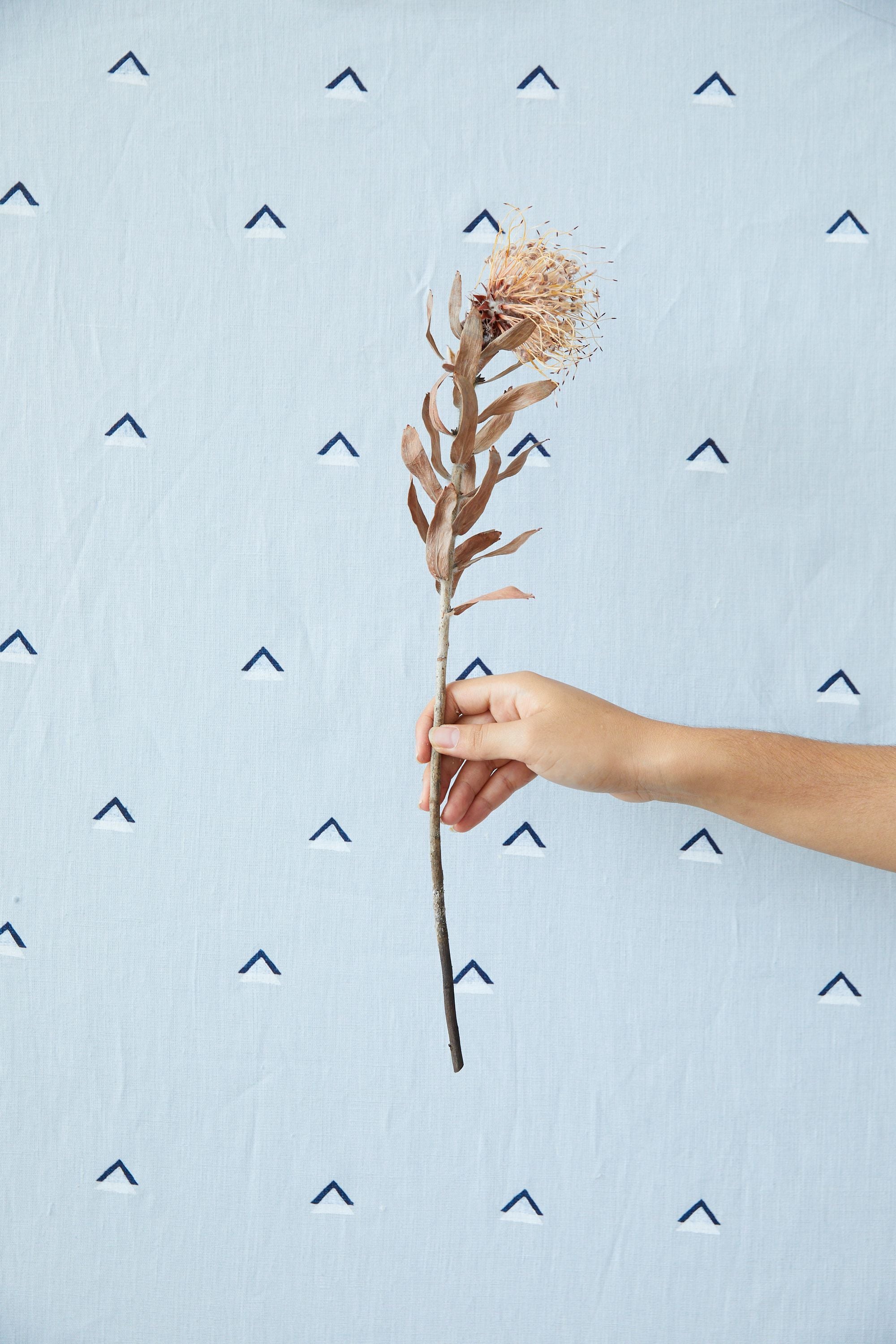 Double Triangle Sky - Fabric By The Yard